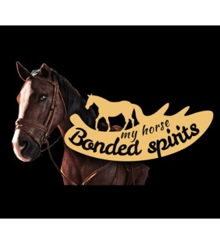 My Horse: Bonded Spirits Steam Key GLOBAL